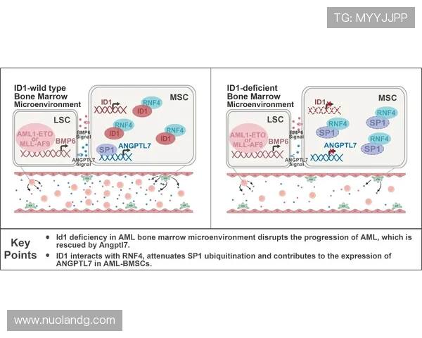 图尔与沙托鲁的较量揭示法乙联赛新动态与球队未来发展方向