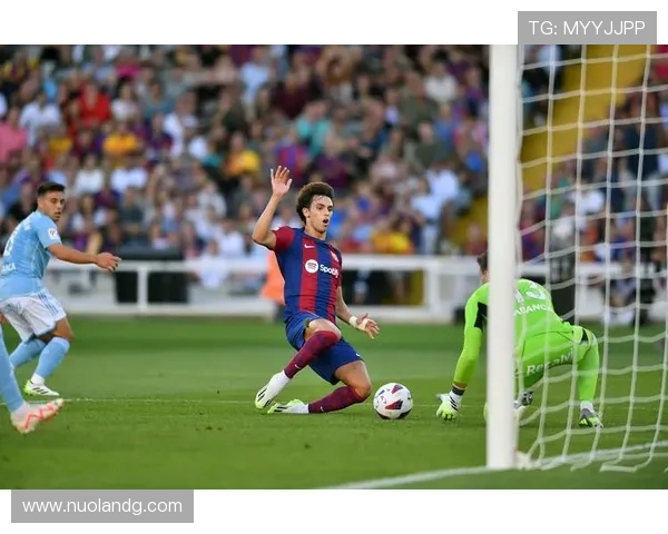 坎塞洛:从边缘球员到世界级后卫的蜕变之路与未来展望